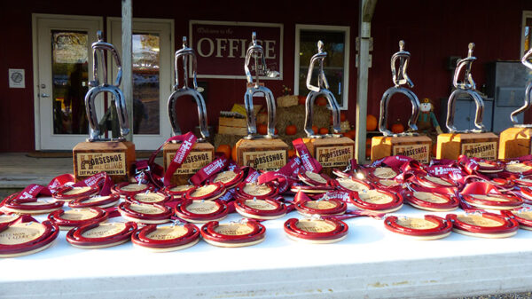 Custom Trophies & Finisher Medals