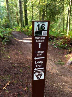 Bainbridge Island Trail Signs