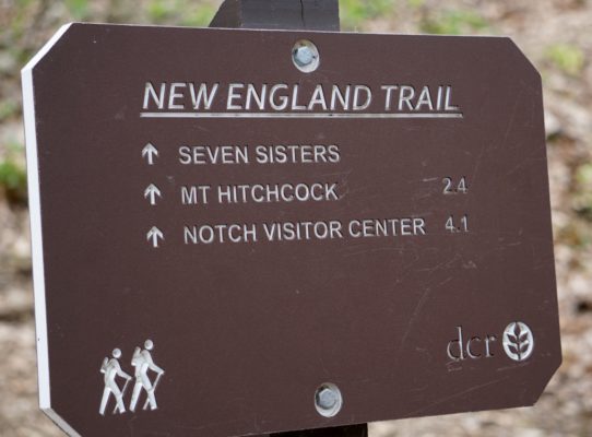 Seven Sisters Trail Race