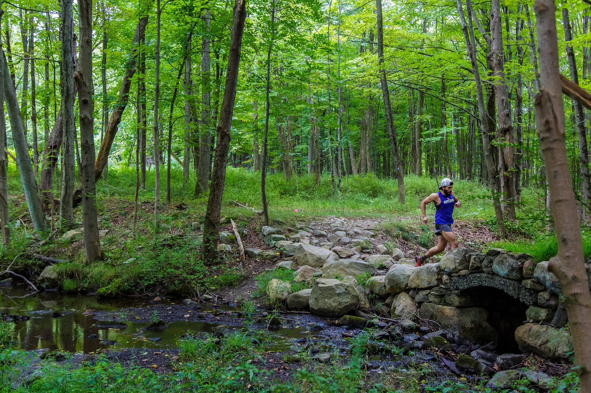 Beast Coast Trail Running at Breakneck Point USATF Marathon Trail