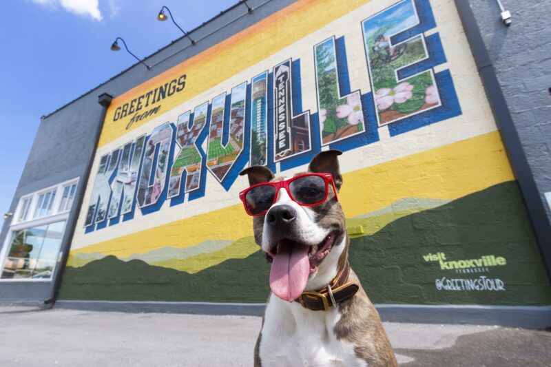 US Trail Running Conference Launches Race Director Mentorship Program